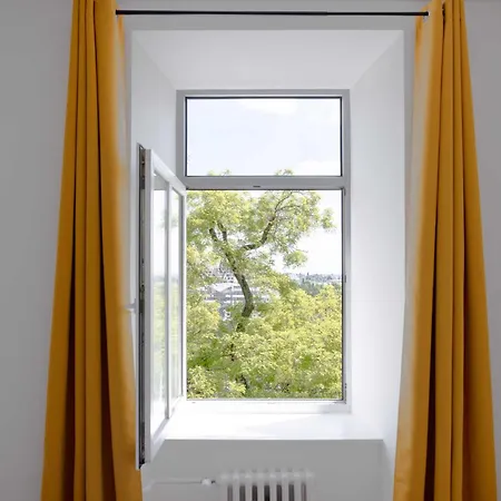 Vista